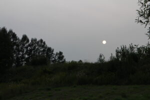 夕方の風景