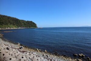 羅臼の海
