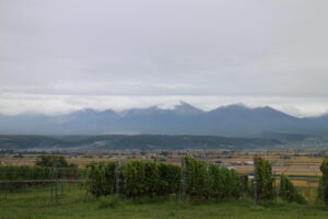 今朝の風景