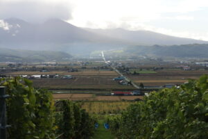 今朝の風景