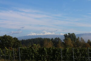 大雪山