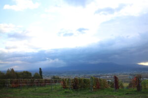 今朝の風景