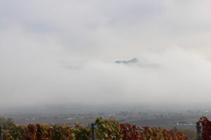 今朝の風景