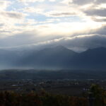 今朝の風景