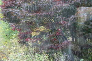 霙