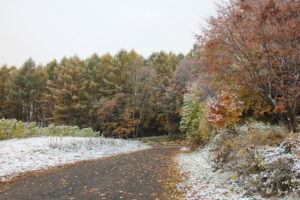 雪景色