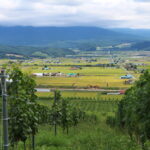 今日の風景