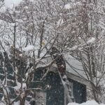 雪下ろし