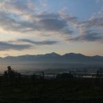 今朝の風景