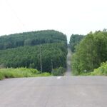 道
