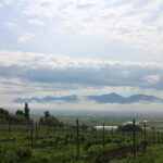 今朝の風景