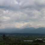 今朝の風景