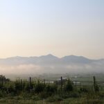 今朝の風景