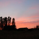 夕景