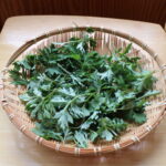 よもぎ