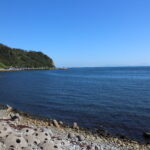 羅臼の海