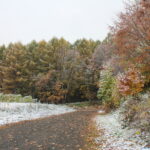 雪景色